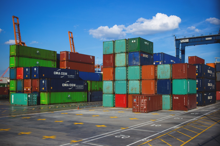 Custom clearance service by Rudra Shipping Services LLP